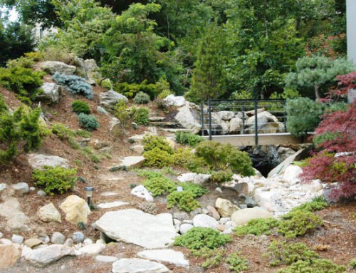 Bridge and Landscape