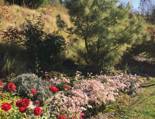 landscaping with flowers